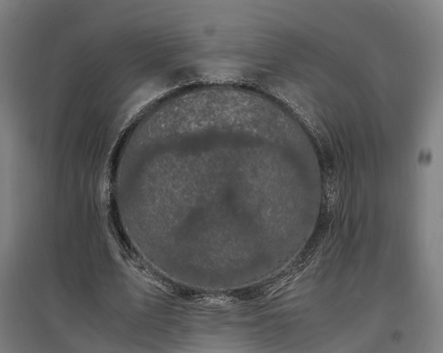 X0000096980583200802151332