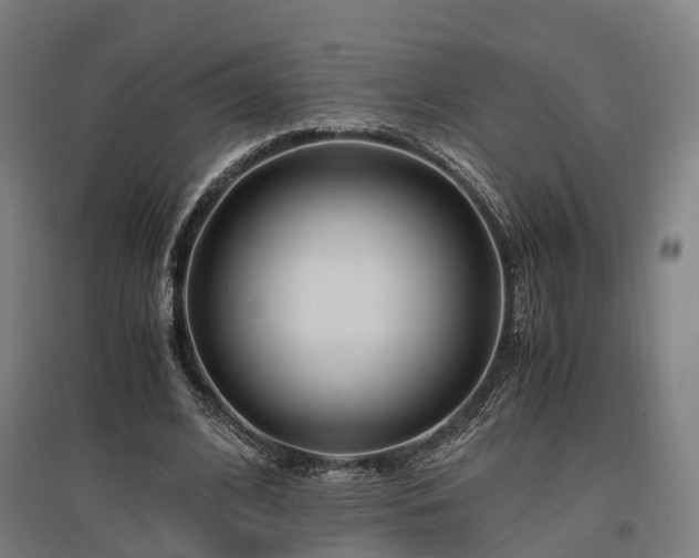 X0000096980584200802151332