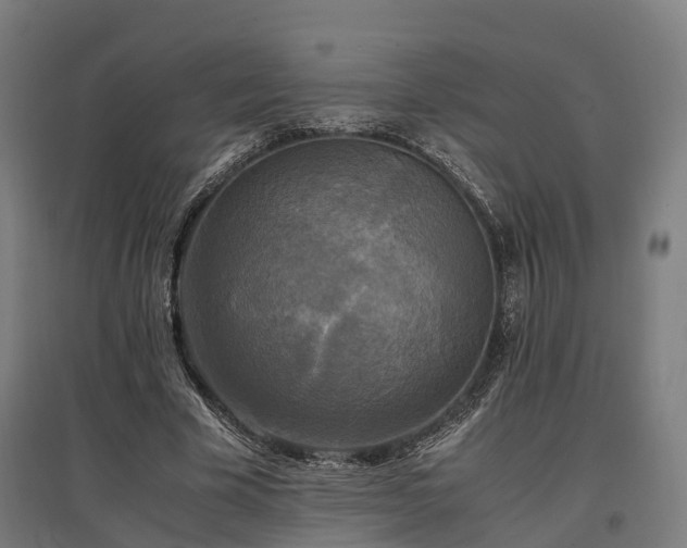 X0000096980585200802151332