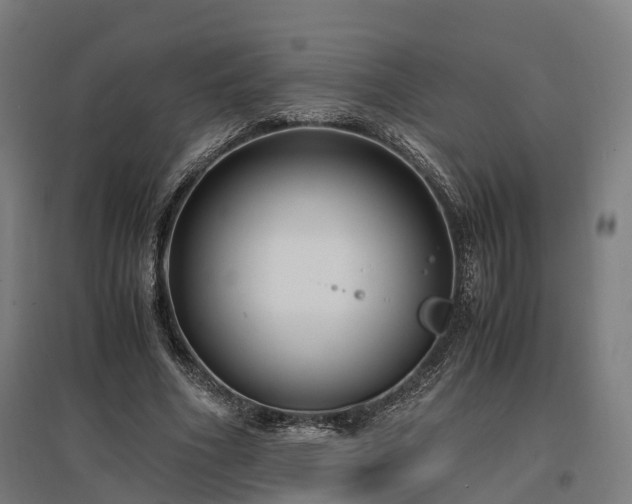 X0000096980586200802151332