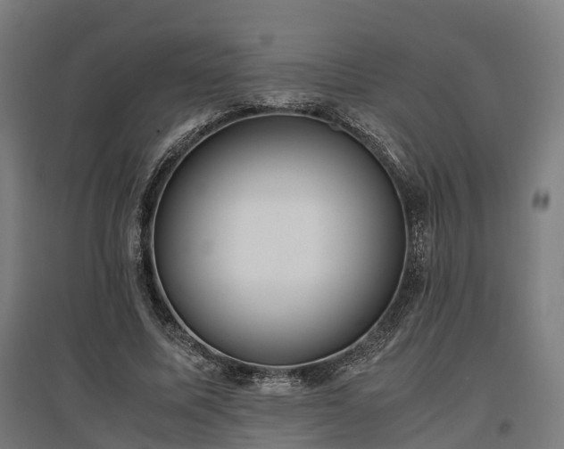 X0000096980587200802151332