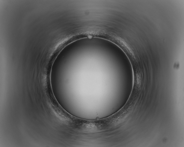 X0000096980588200802151332