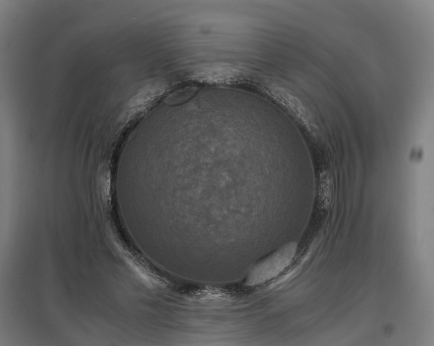 X0000096980589200802151332