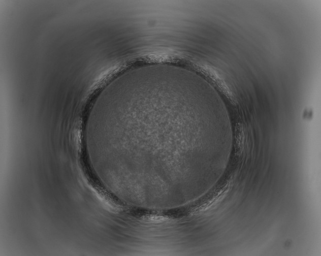 X0000096980590200802151332