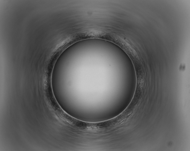 X0000096980591200802151332