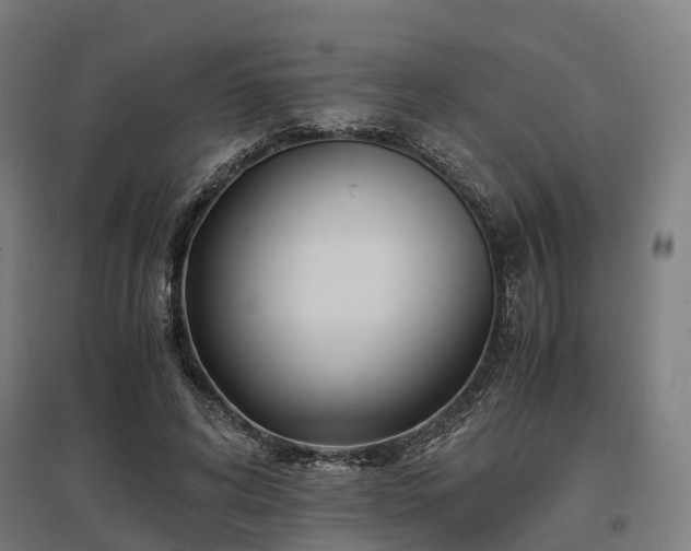 X0000096980592200802151332