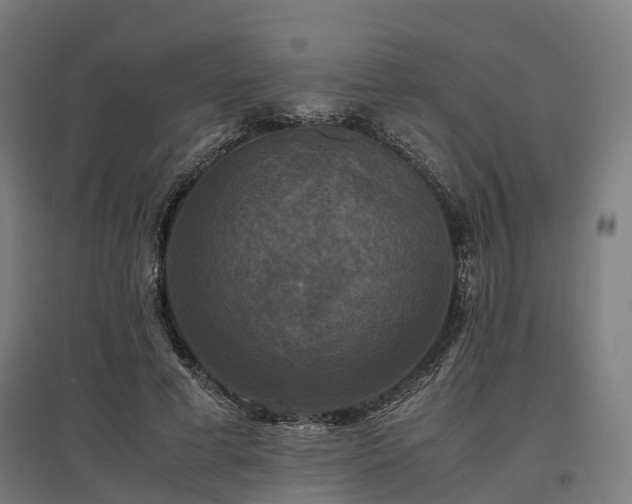 X0000096980593200802151332