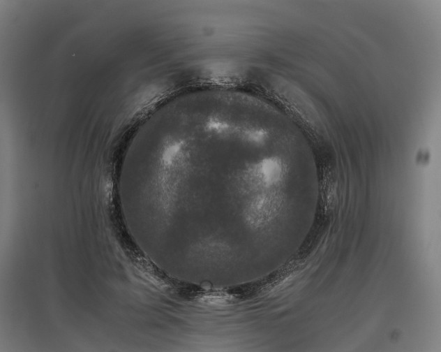 X0000096980595200802151332