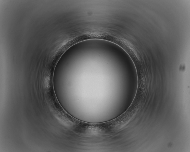 X0000096980596200802151332