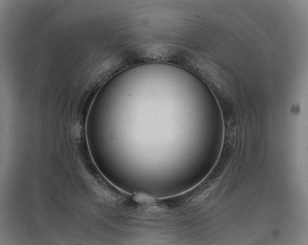 X0000096980597200802151332