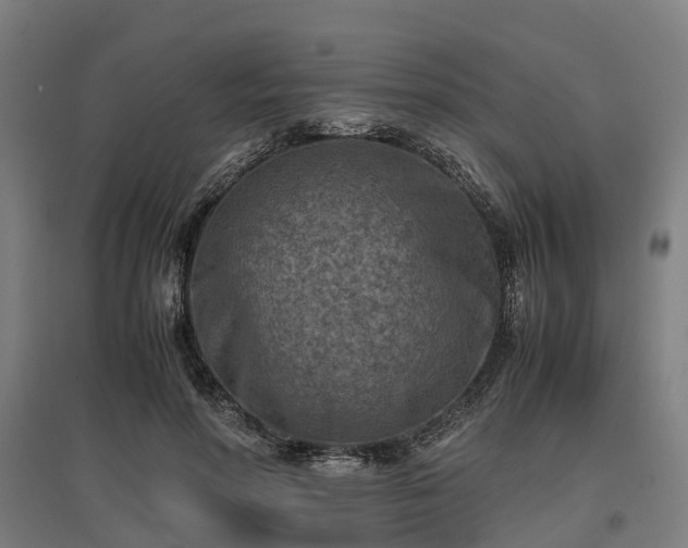 X0000096980598200802151332