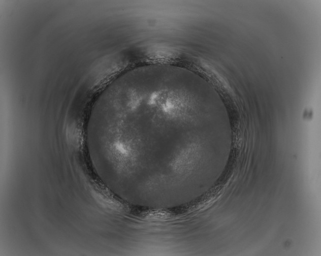 X0000096980599200802151332