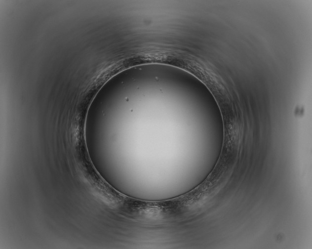 X0000096980600200802151332