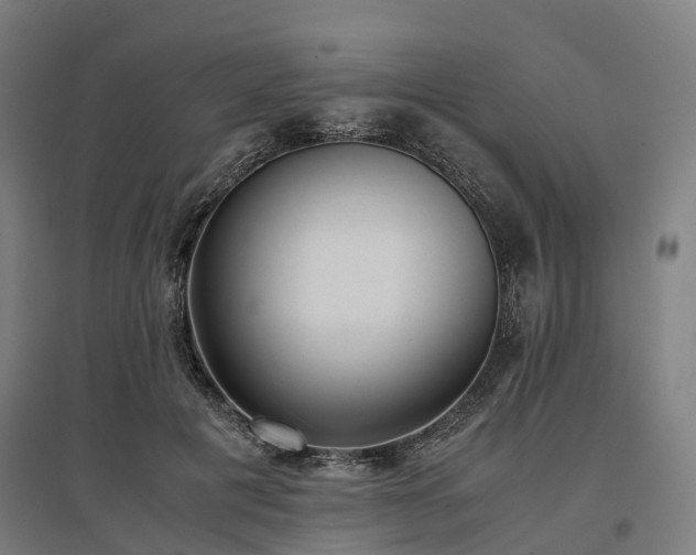 X0000096980601200802151332