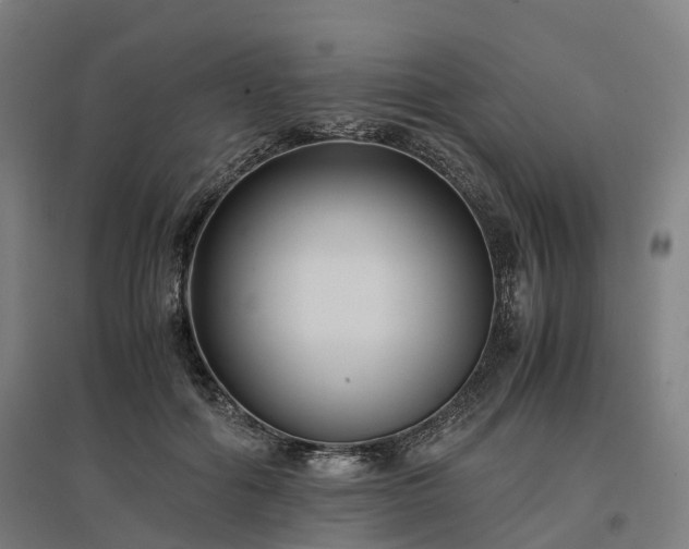 X0000096980602200802151332