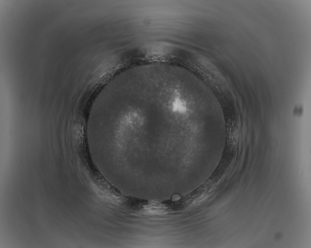 X0000096980603200802151332