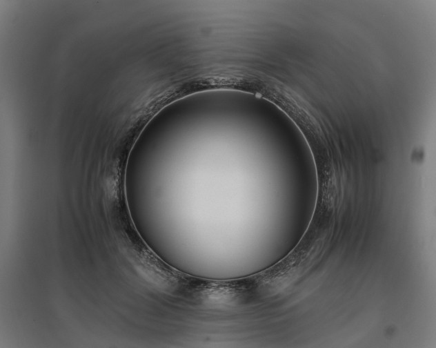 X0000096980604200802151332