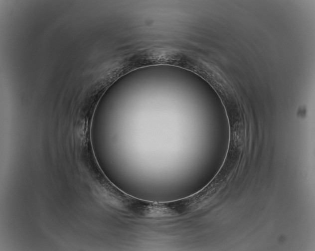 X0000096980605200802151332