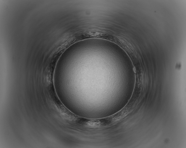 X0000096980606200802151332