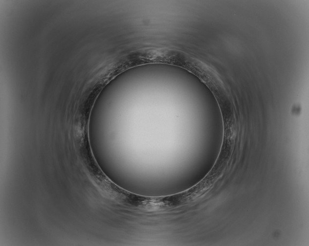 X0000096980607200802151332