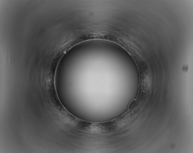 X0000096980608200802151332