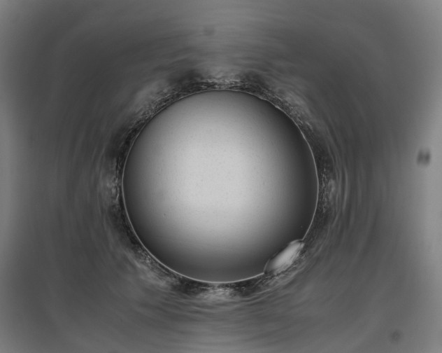 X0000096980609200802151332