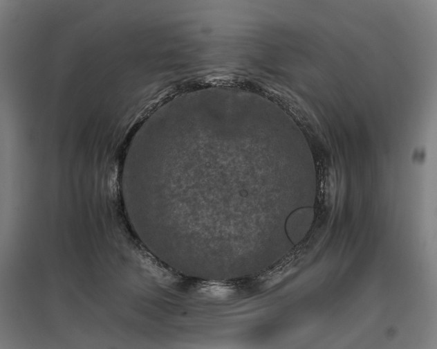 X0000096980610200802151332