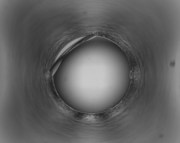 X0000096980611200802151332