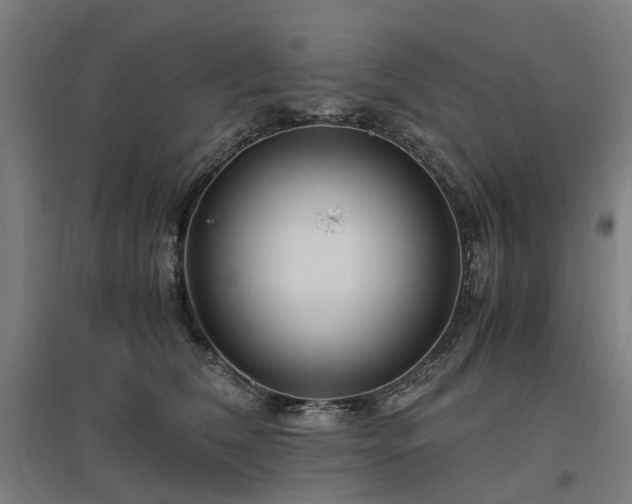 X0000096980612200802151332