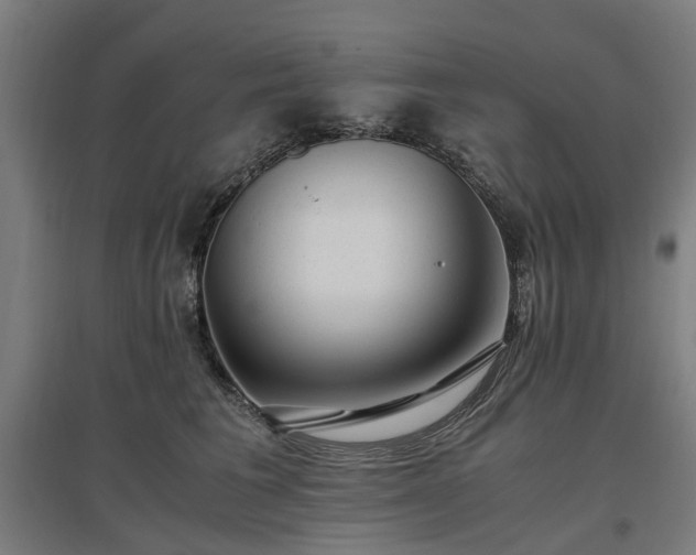 X0000096980613200802151332