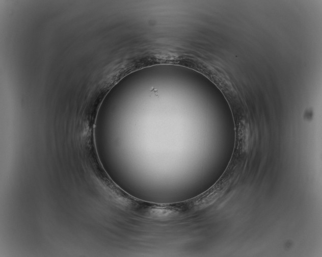 X0000096980614200802151332