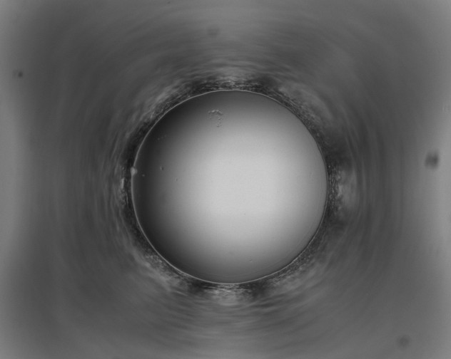 X0000096980615200802151332