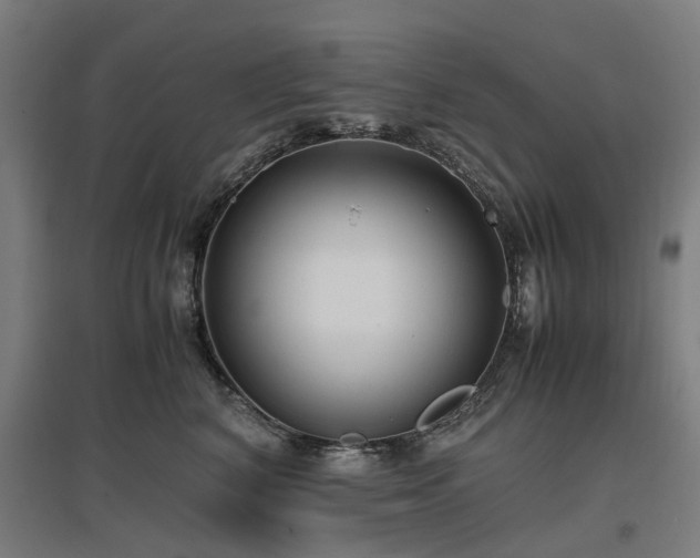 X0000096980616200802151332