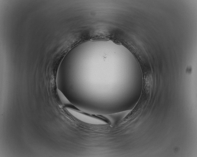 X0000096980617200802151332