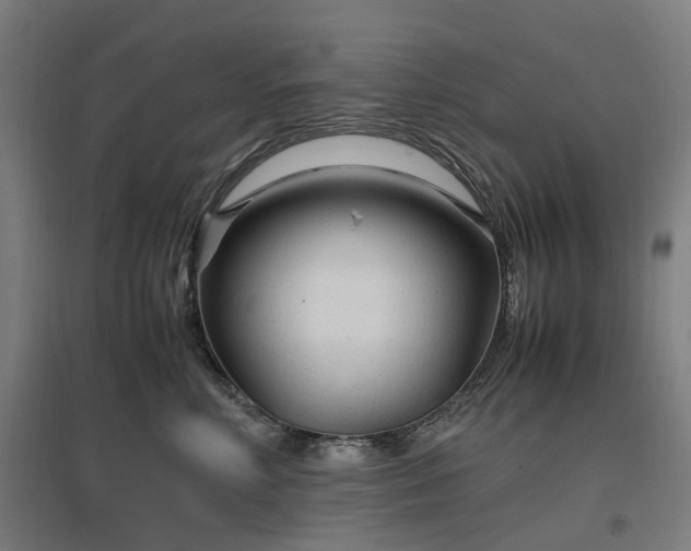 X0000096980618200802151332