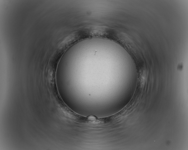 X0000096980619200802151332