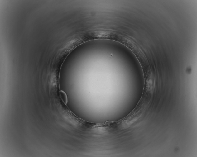 X0000096980620200802151332