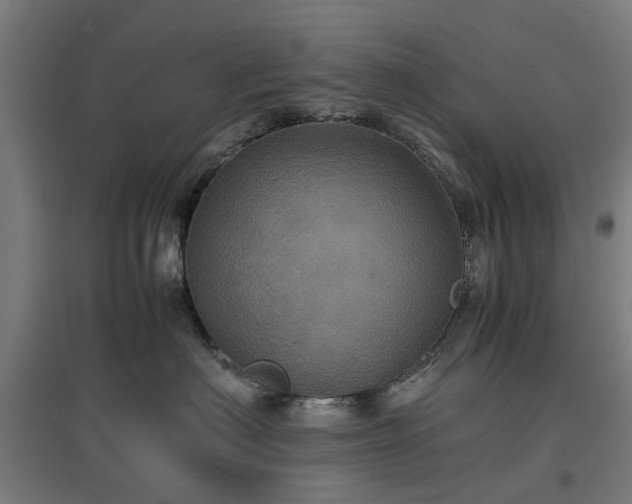 X0000096980622200802151332