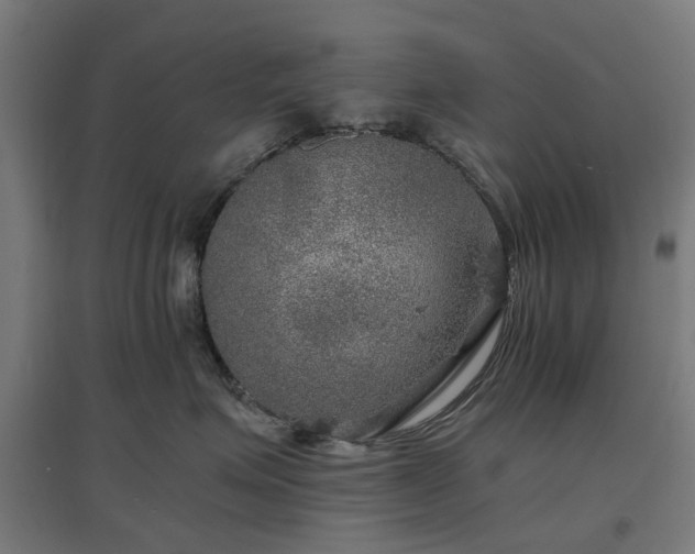 X0000096980623200802151331