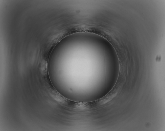 X0000096980624200802151331