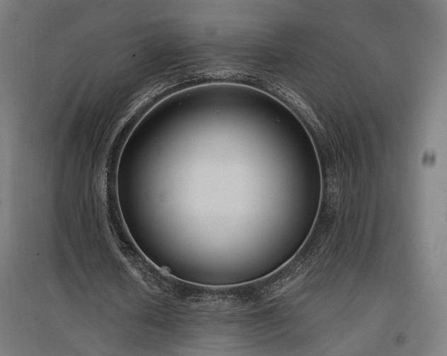 X0000096980626200802151331