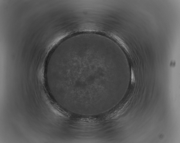 X0000096980627200802151331