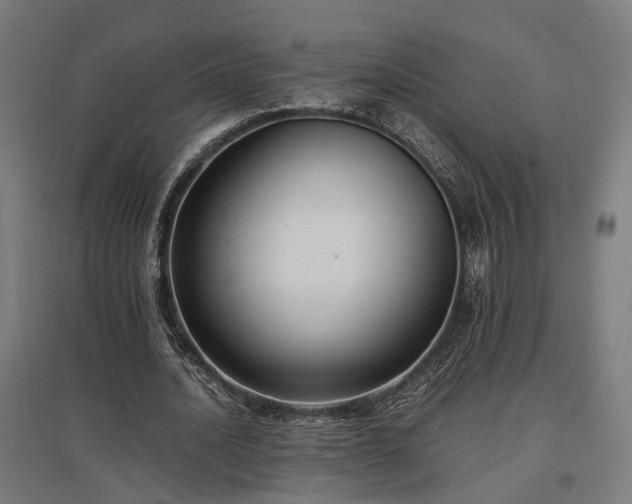 X0000096980628200802151331