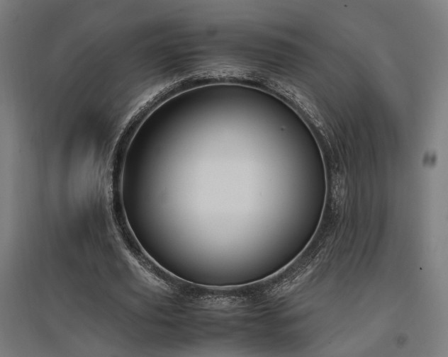 X0000096980629200802151331