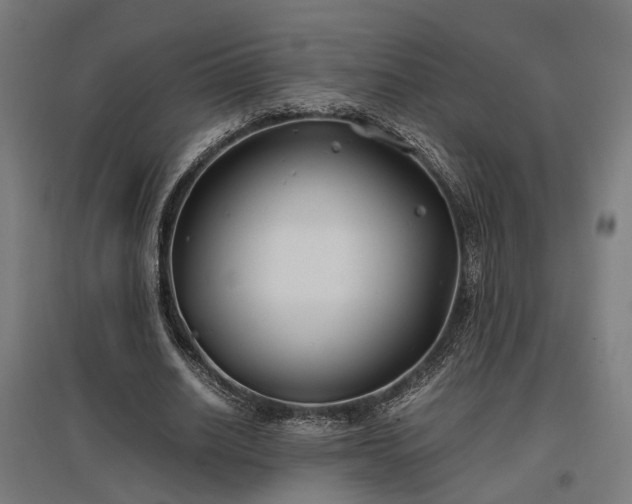 X0000096980630200802151331