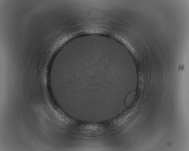 X0000096980631200802151331