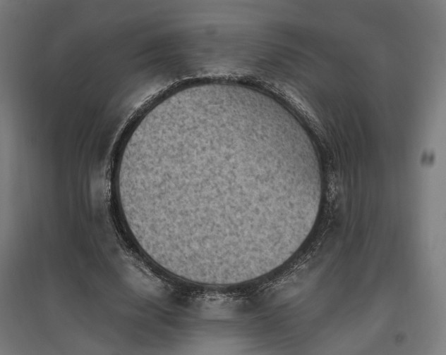 X0000096980632200802151331