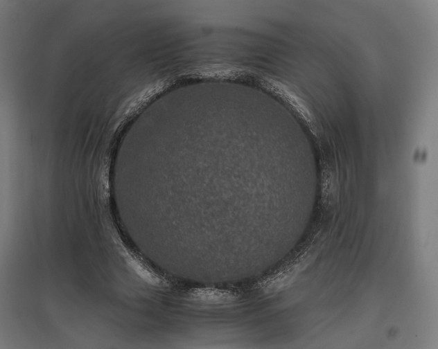 X0000096980633200802151331