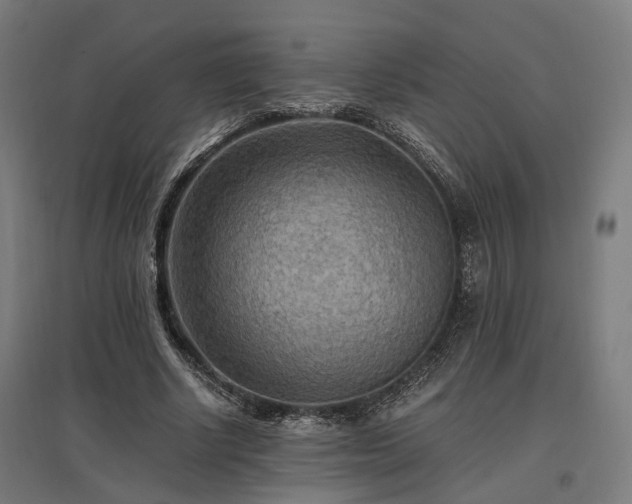 X0000096980634200802151331