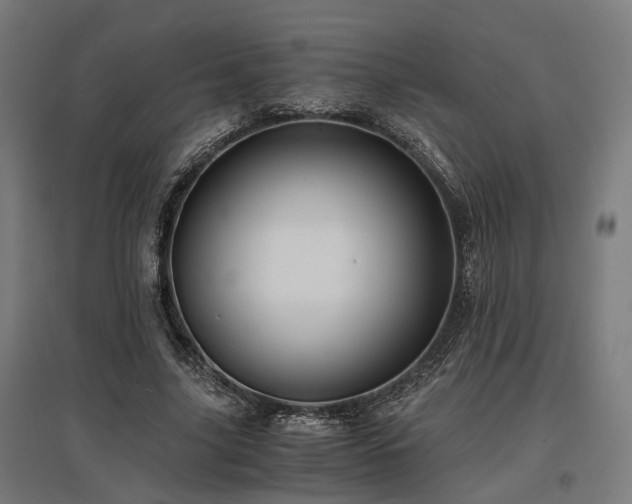 X0000096980635200802151331